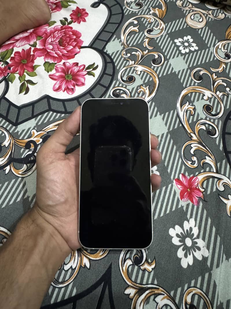 iPhone 12 1