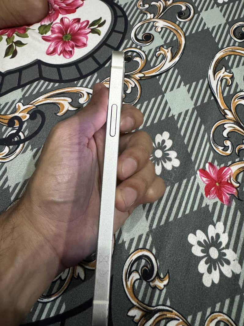 iPhone 12 5
