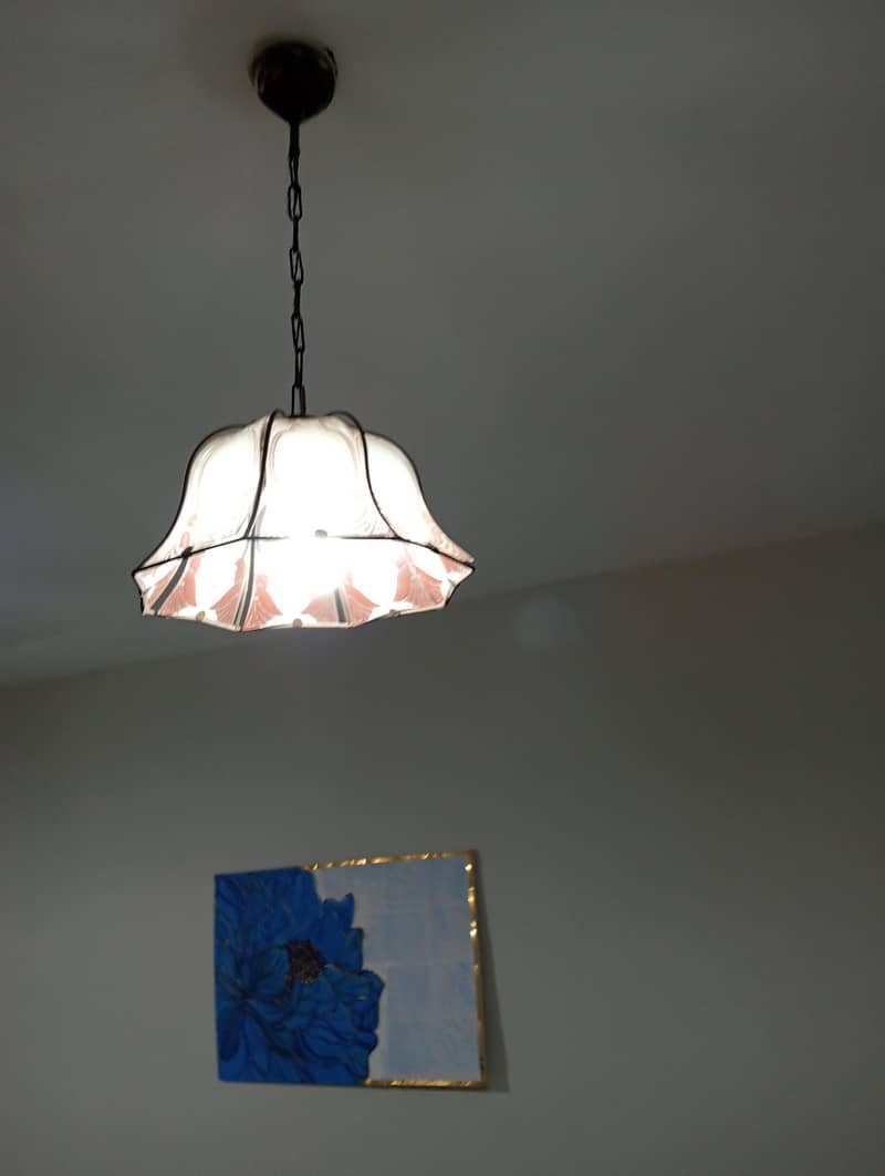 ceiling globe light 1
