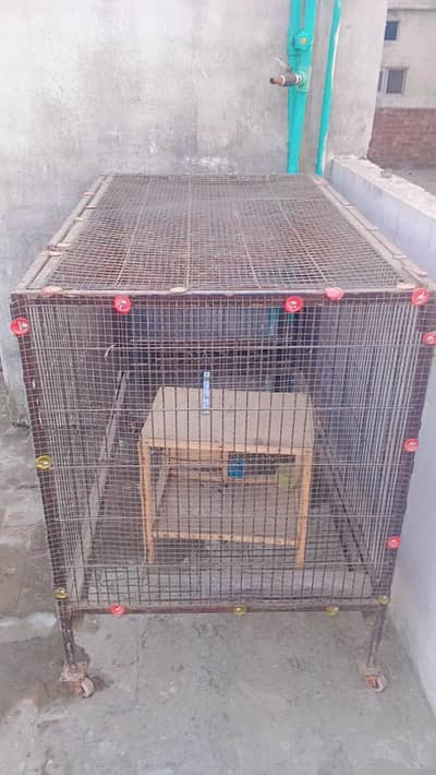 brand new bird's cage
