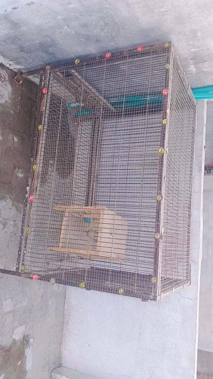 brand new bird's cage — photo 2