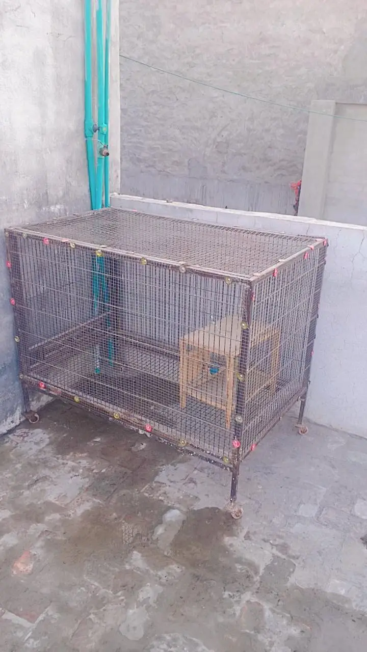brand new bird's cage — photo 3