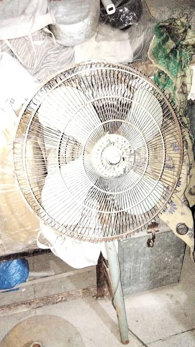 royal fan