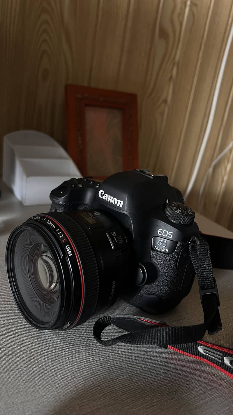 6D mark ii 5