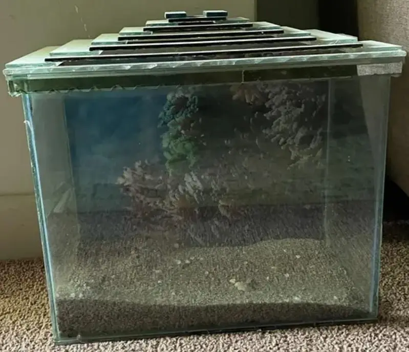 Standard Size Aquarium Available For Sale In Karachi — photo 2