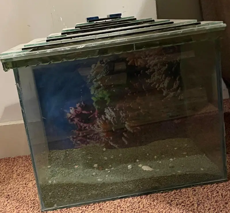 Standard Size Aquarium Available For Sale In Karachi — photo 3