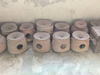 Breeding Matkia and Boxes
