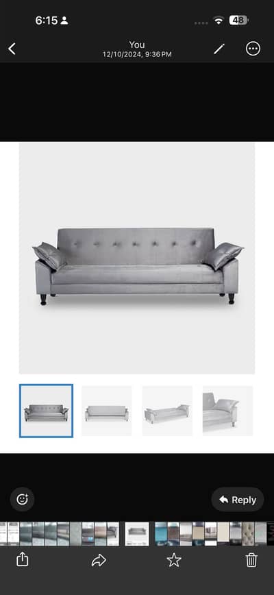 2 seater sofa cum bed