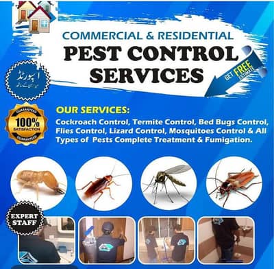 Pest Control/Termite Control/Fumigation Spray/Deemak Control Services