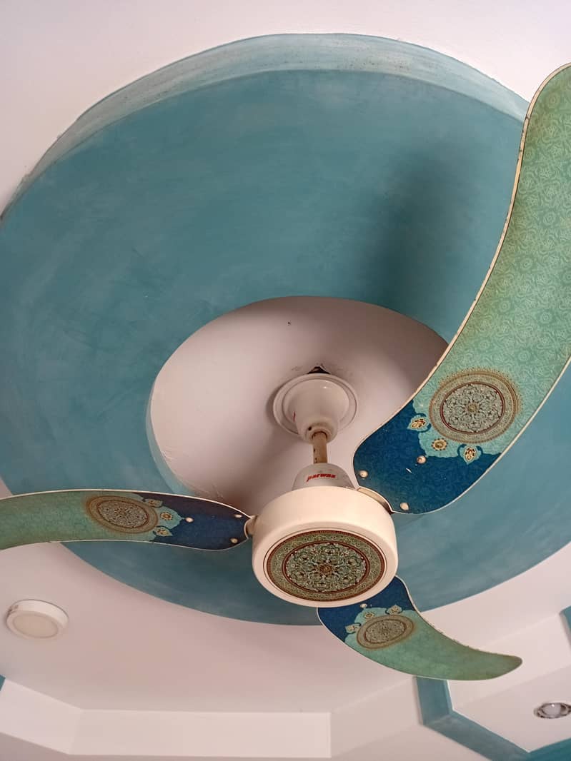 Fancy Fan 1