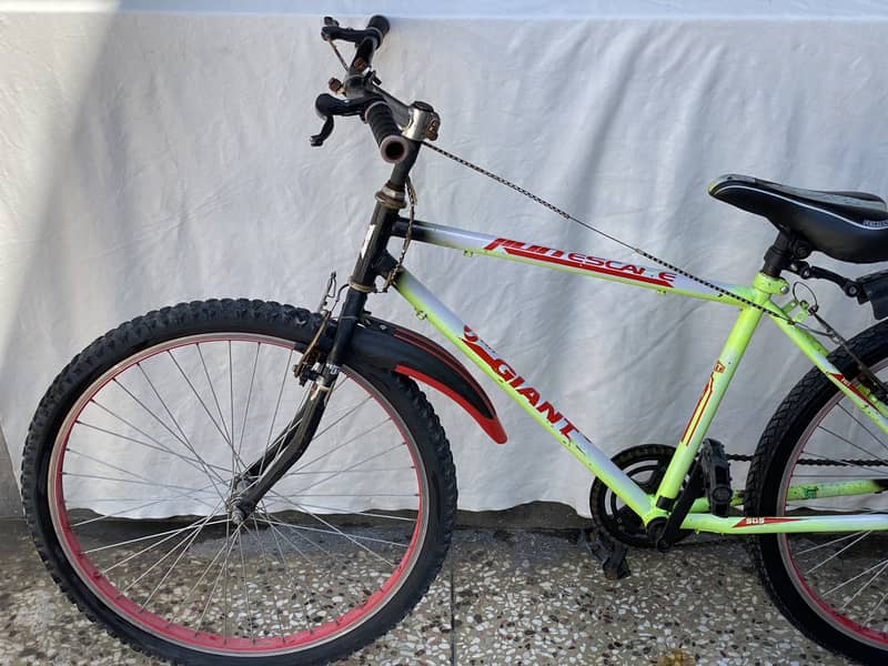 Bicycle 5
