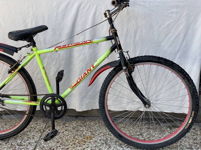 Bicycle 6