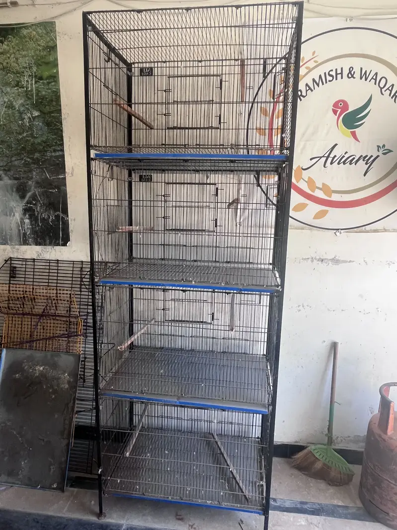 BIRD CAGE
