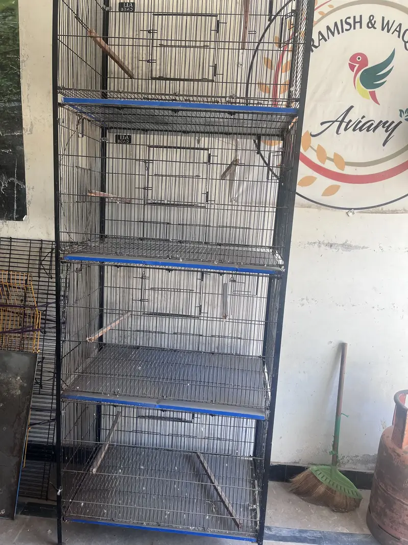 BIRD CAGE — photo 2