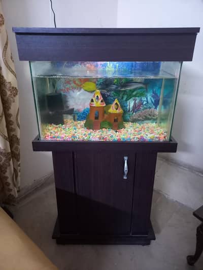 Complete aquarium with fishes setup for sale in good condition.