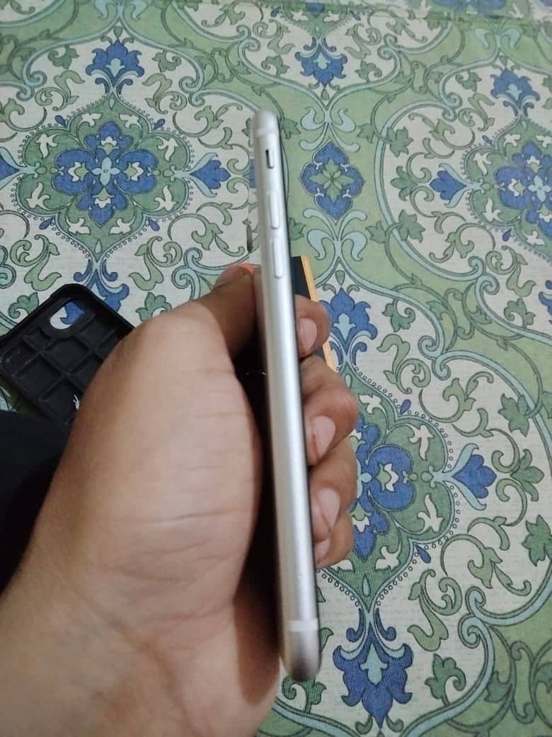iPhone 5