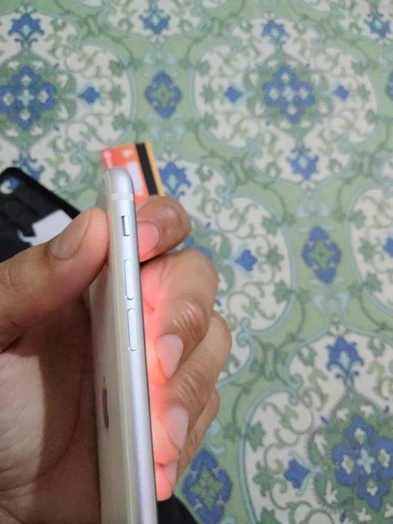 iPhone 6