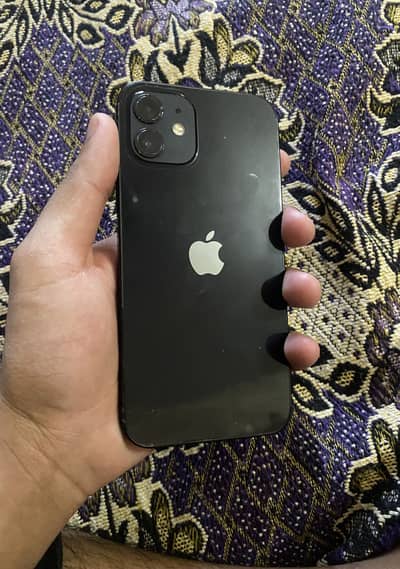 iPhone 12