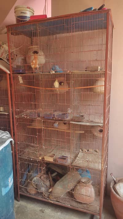 parrot Cage