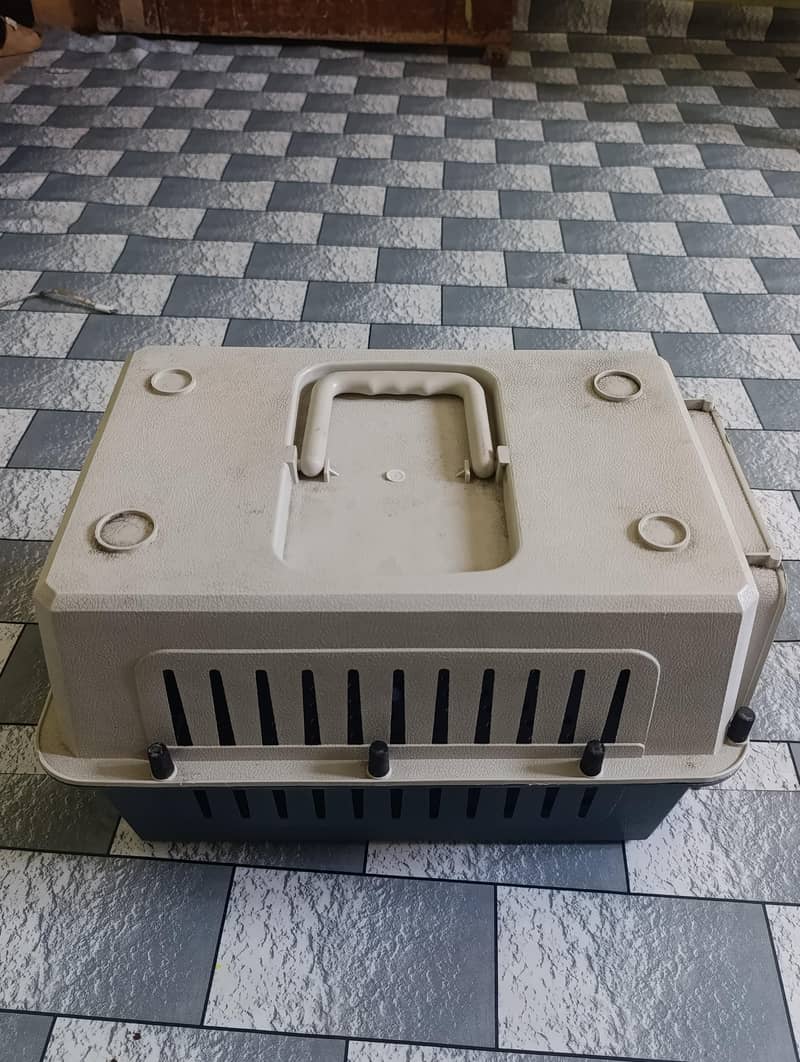Cat Cage 1