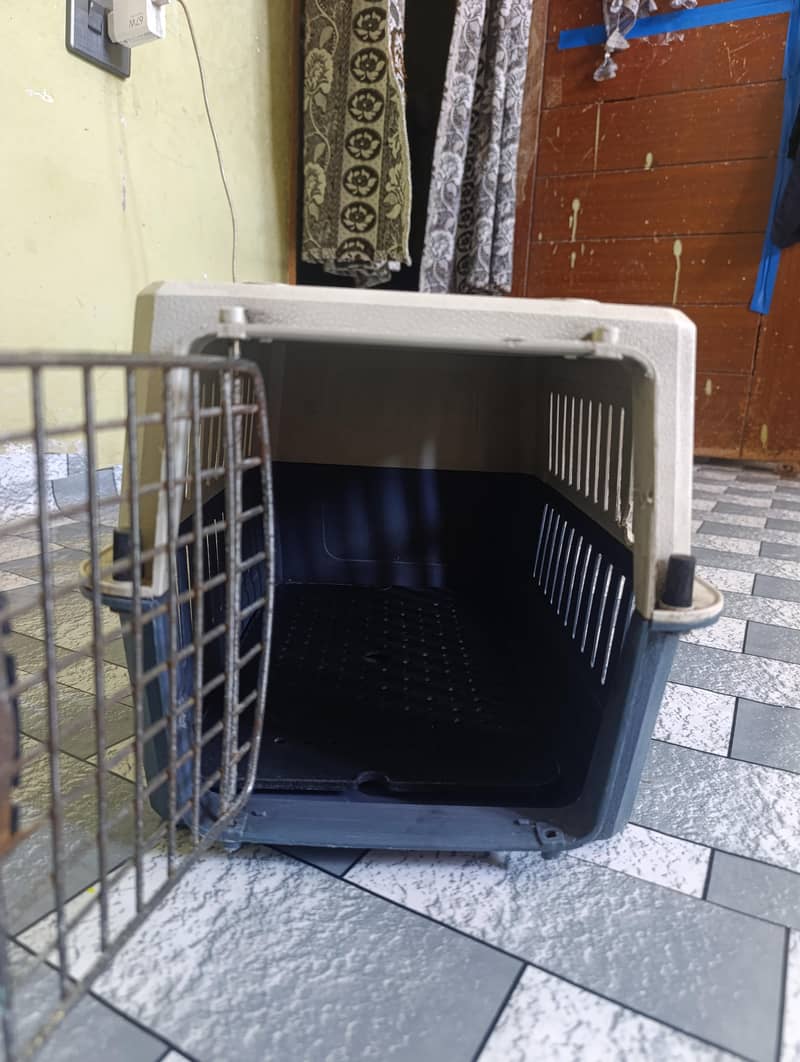 Cat Cage 4