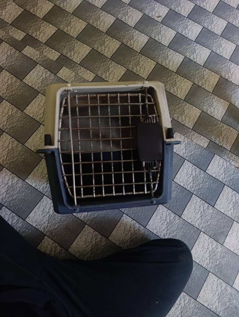 Cat Cage 5