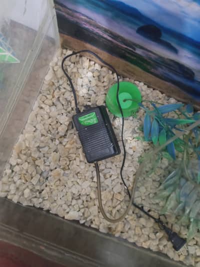 Fish tank glass made for room decor