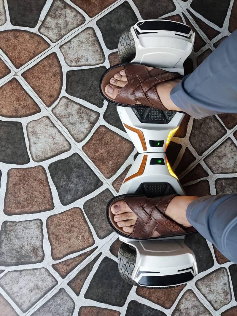 Hoverboard full size 10