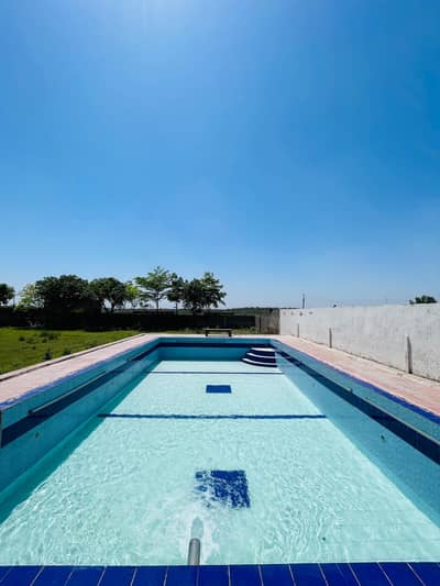 Farmhouse & Swimming Pool