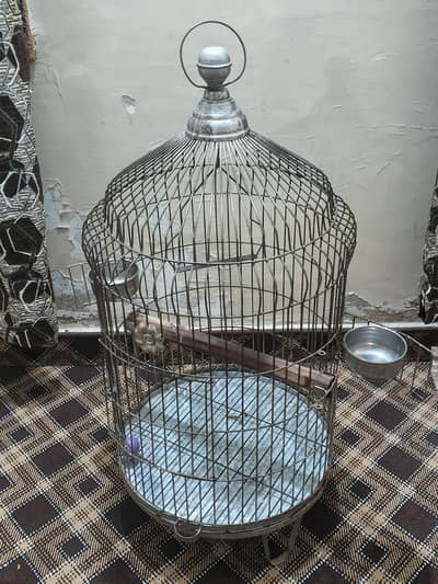 Metal Bird Cage For Parrot