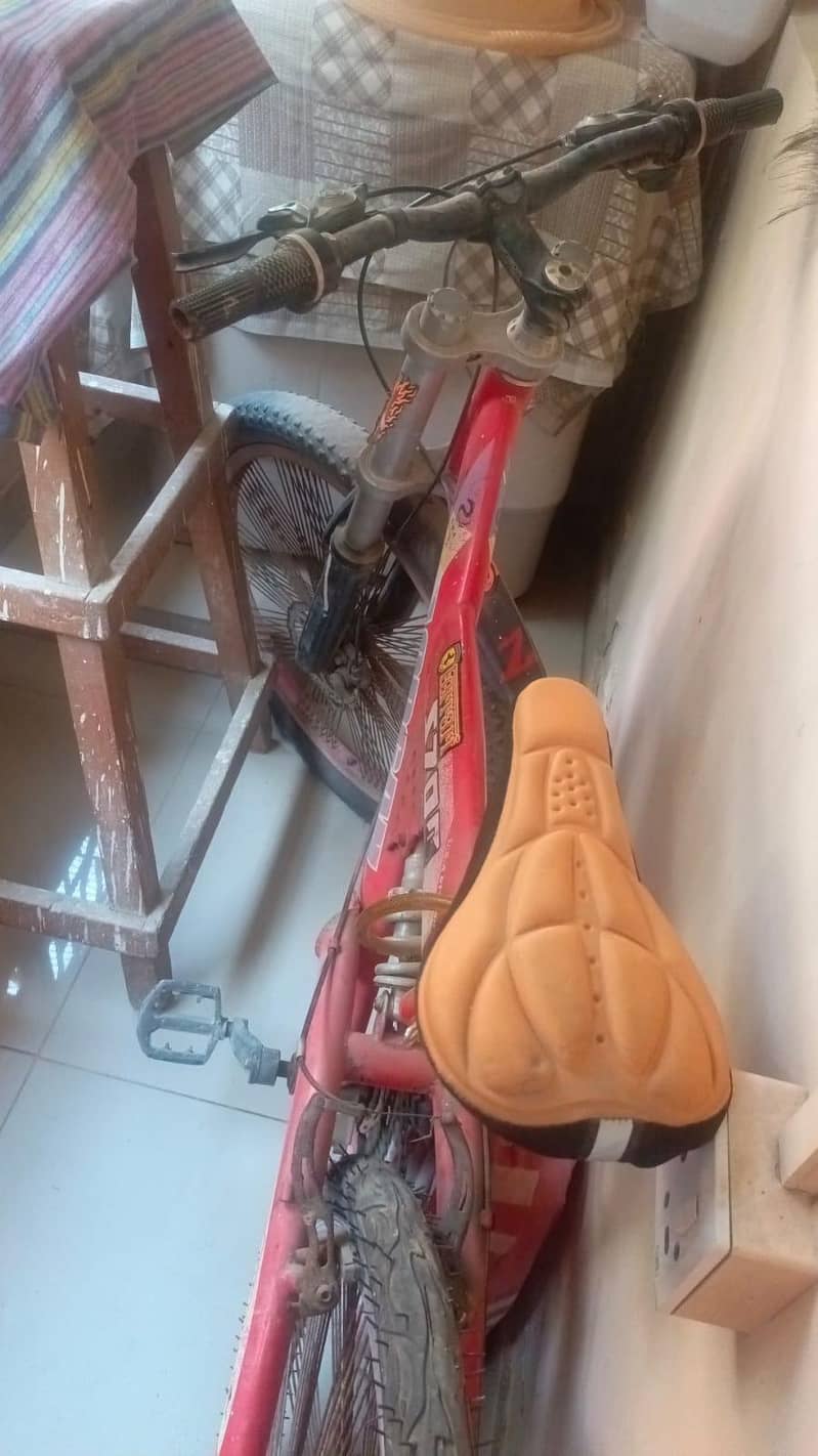 cycle maximum size 1