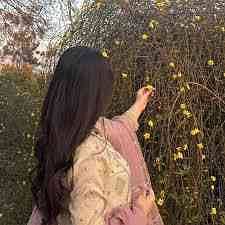 nimra rajpoot 