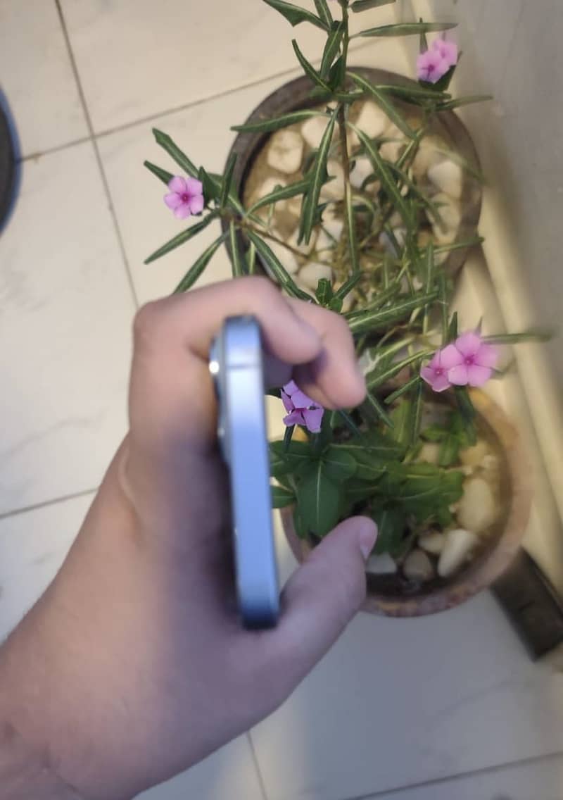 iPhone 14 1