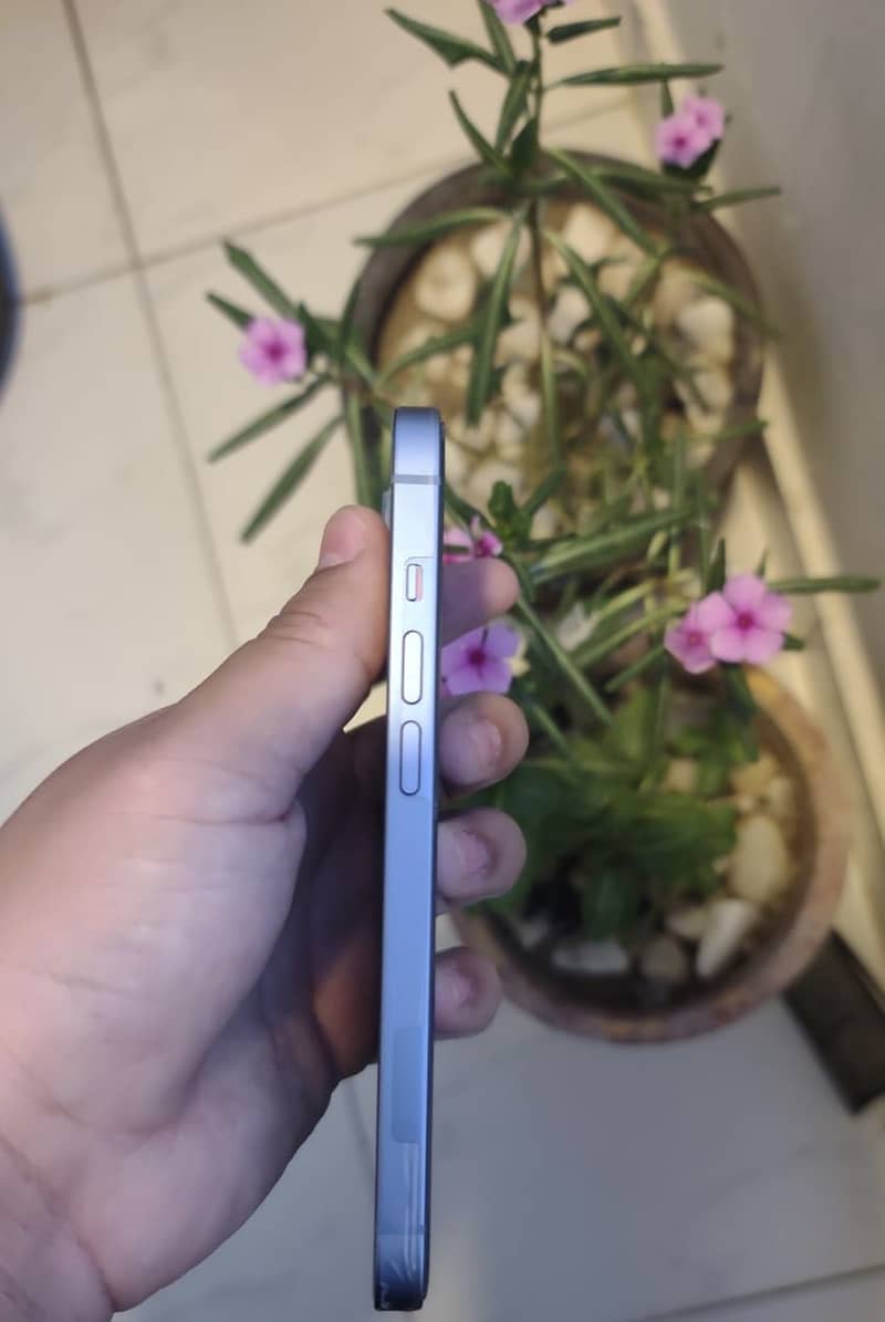 iPhone 14 4