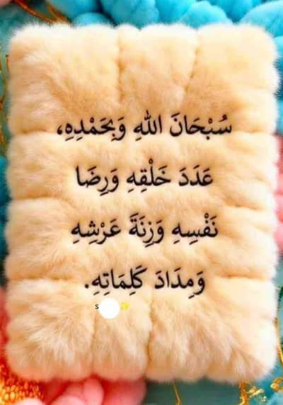 qasim yasin