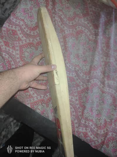 bat ss English willow