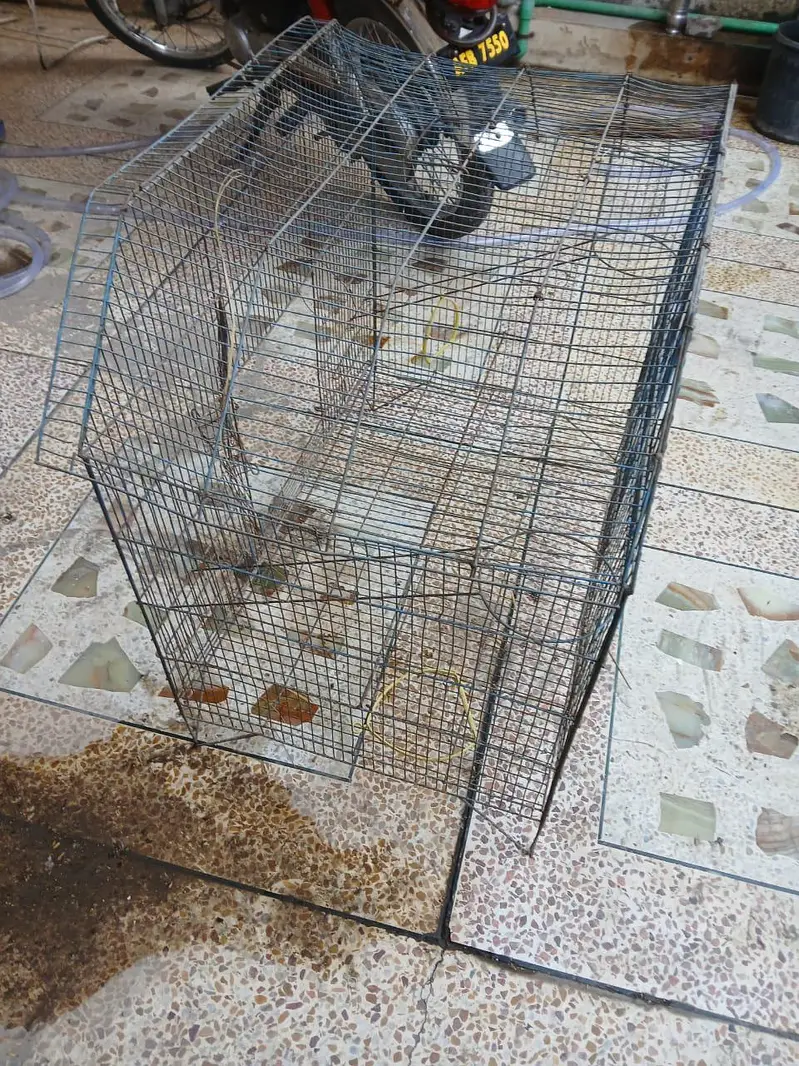 Iron Cage for parrots — photo 3