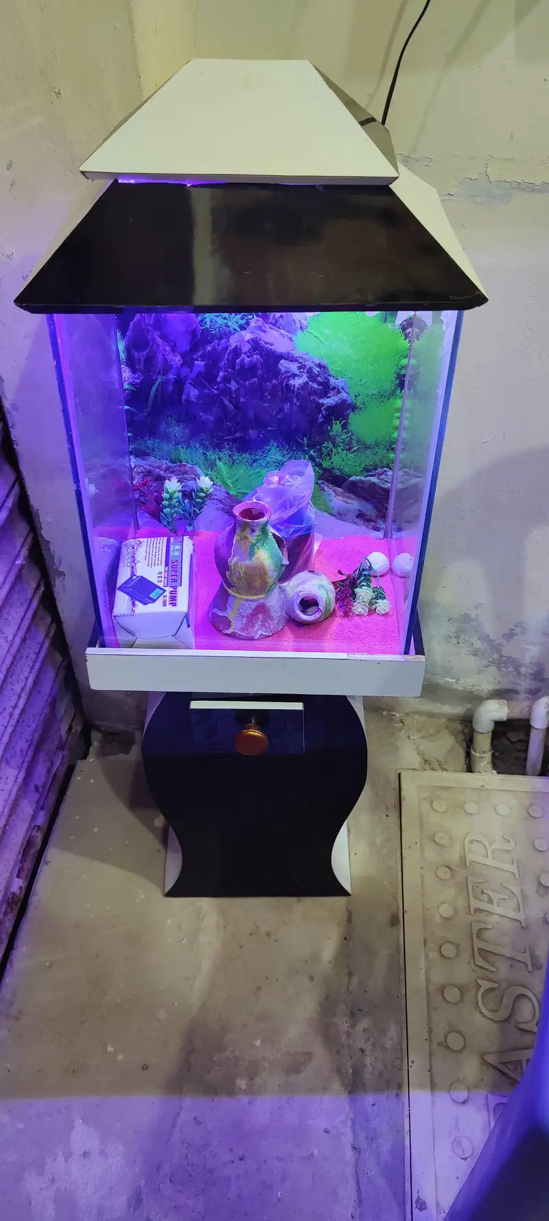 Gilal Gold Fish Aquarium — photo 4
