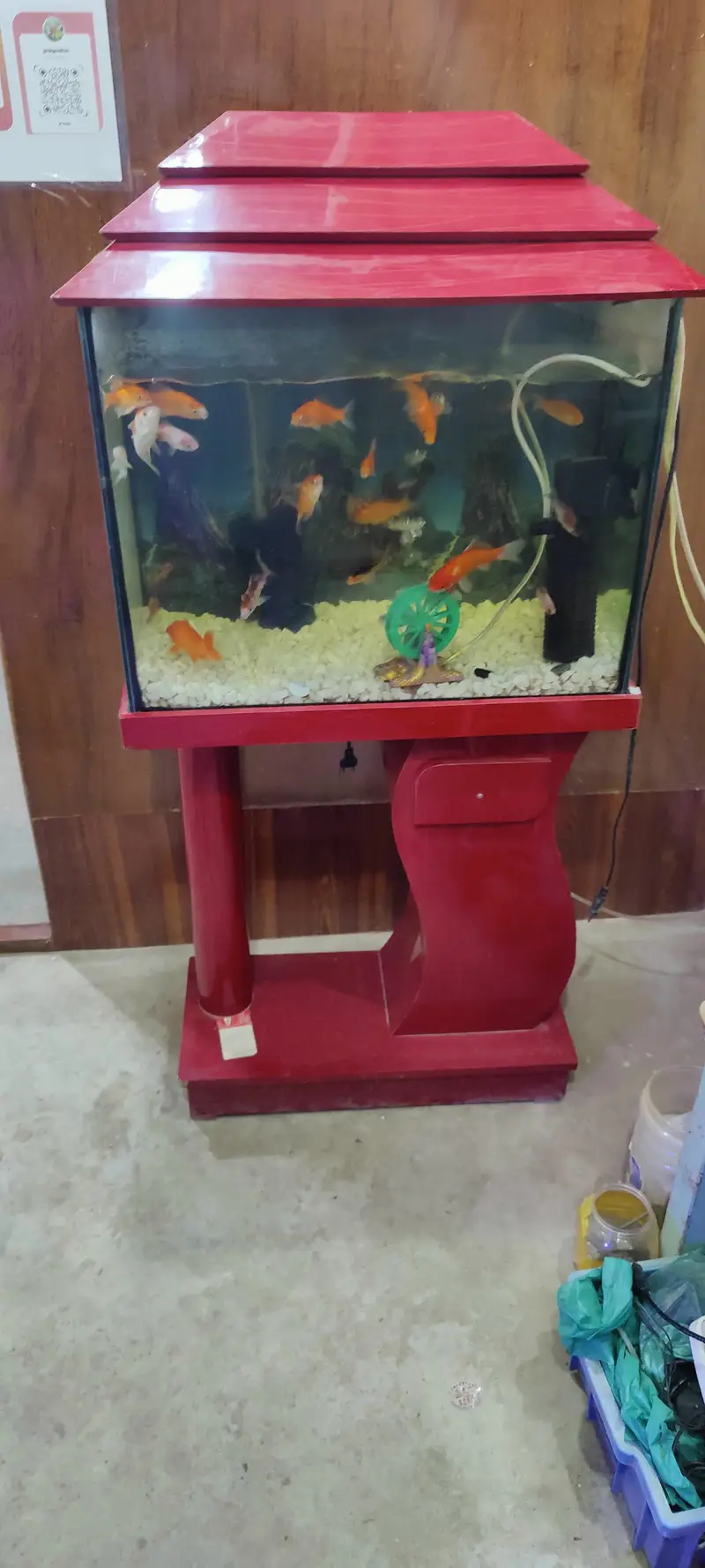 Gilal Gold Fish Aquarium — photo 5