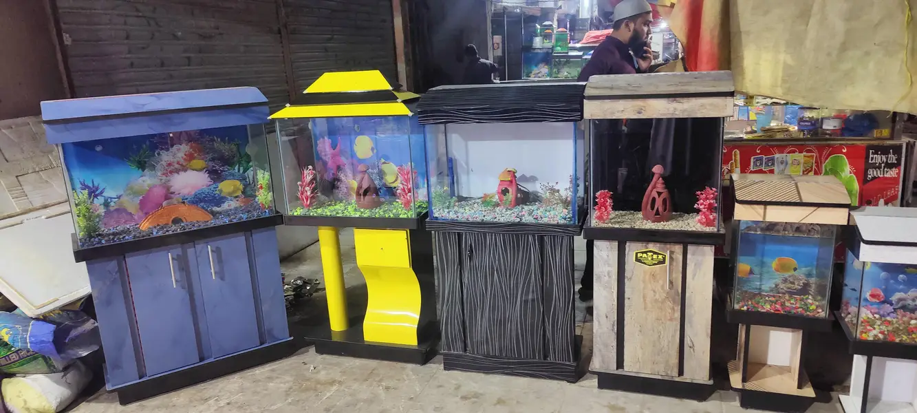 Gilal Gold Fish Aquarium — photo 7