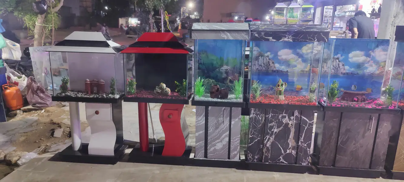 Gilal Gold Fish Aquarium — photo 8