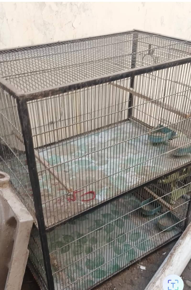 4box cage 0