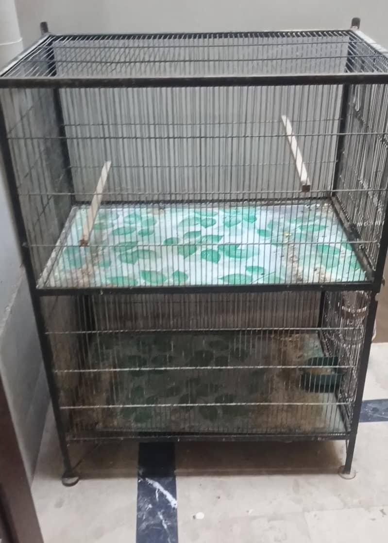 4box cage 1