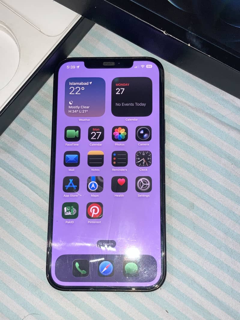 12 pro max 1
