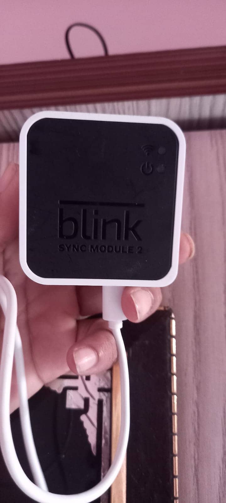 Blink Sync Module 2 1