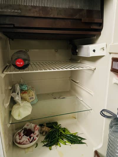 Room Fridge.