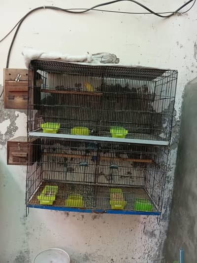 cage for sale