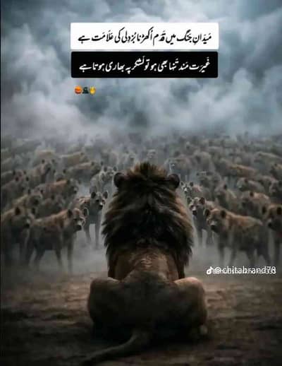 Saqib Javed