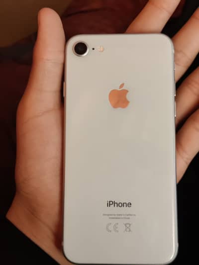 iPhone 8