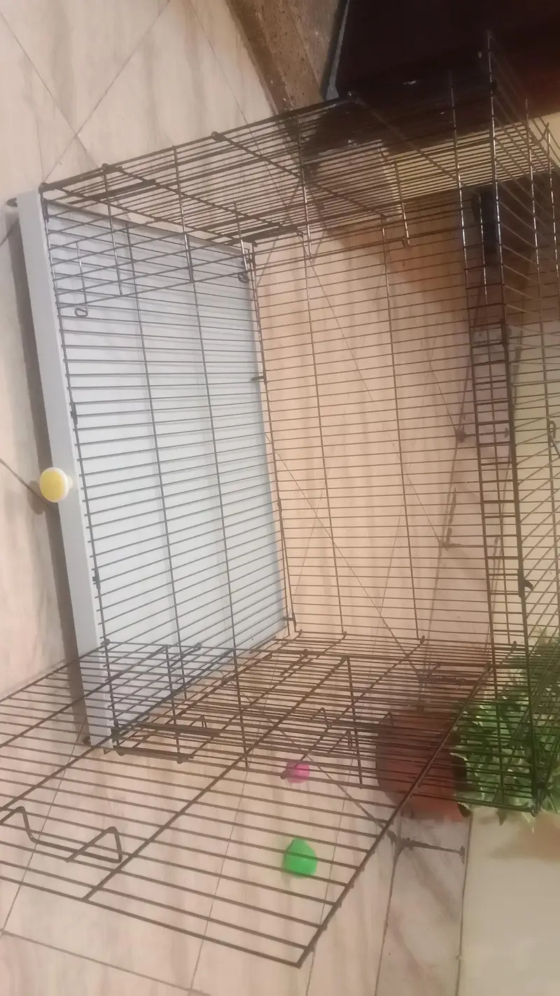 Kitten steel cage & box — photo 2